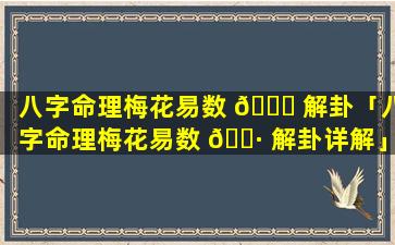 八字命理梅花易数 🐝 解卦「八字命理梅花易数 🌷 解卦详解」